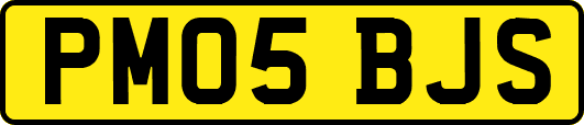 PM05BJS