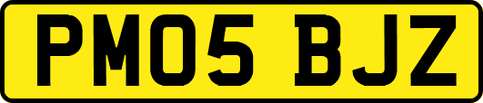 PM05BJZ