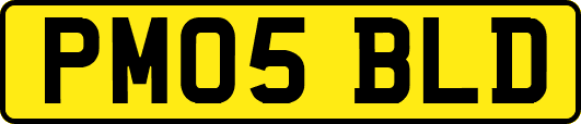 PM05BLD