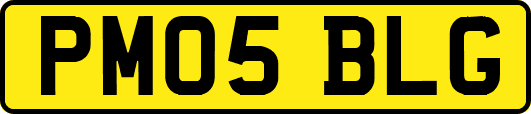 PM05BLG
