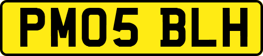 PM05BLH