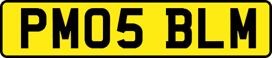 PM05BLM
