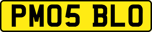 PM05BLO