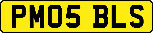 PM05BLS