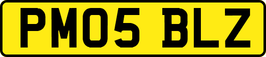 PM05BLZ