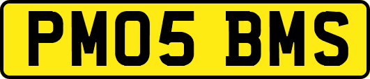 PM05BMS