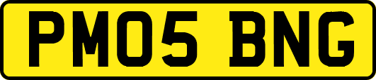 PM05BNG
