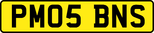 PM05BNS