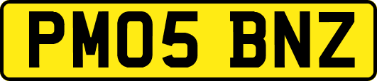 PM05BNZ