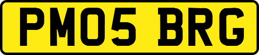 PM05BRG