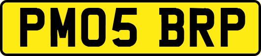 PM05BRP