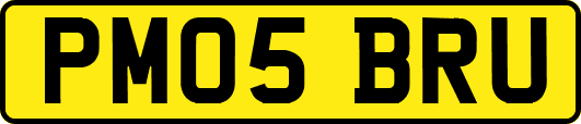 PM05BRU