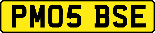 PM05BSE