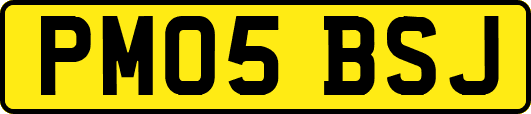 PM05BSJ