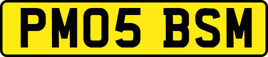 PM05BSM