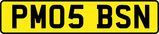 PM05BSN