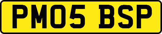 PM05BSP