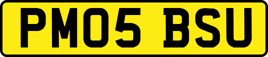 PM05BSU