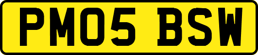 PM05BSW
