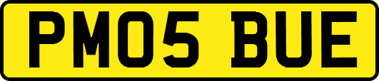 PM05BUE