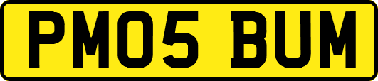 PM05BUM