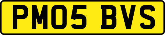 PM05BVS