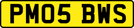PM05BWS