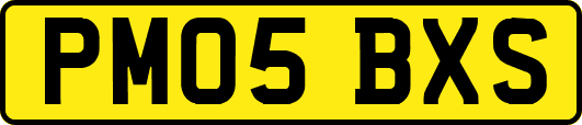 PM05BXS