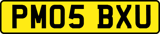 PM05BXU