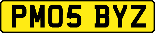PM05BYZ