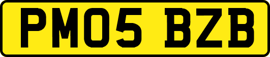 PM05BZB