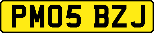 PM05BZJ