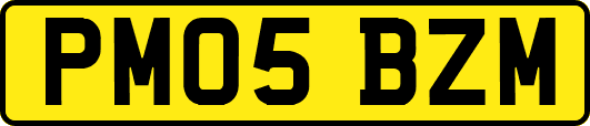 PM05BZM