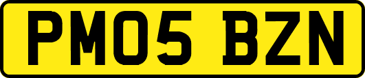 PM05BZN