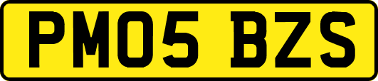 PM05BZS