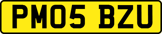 PM05BZU