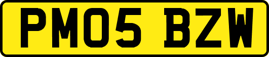 PM05BZW