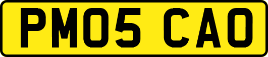 PM05CAO