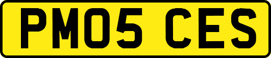 PM05CES