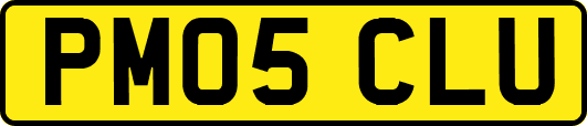 PM05CLU