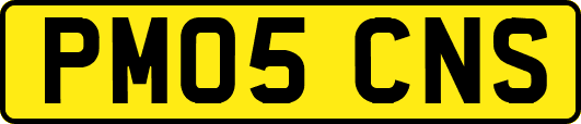 PM05CNS