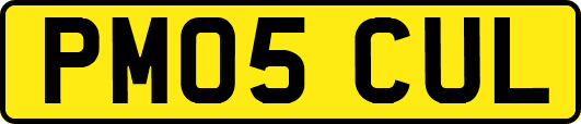 PM05CUL