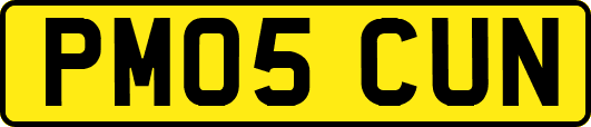 PM05CUN