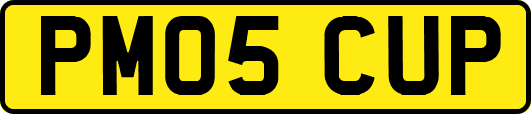 PM05CUP