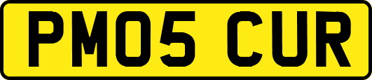 PM05CUR