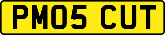 PM05CUT
