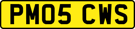 PM05CWS