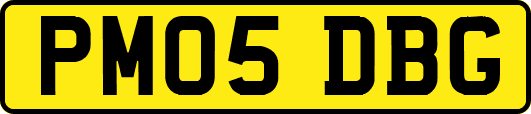 PM05DBG