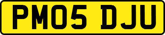 PM05DJU