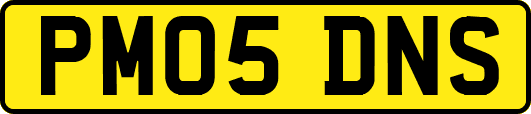 PM05DNS